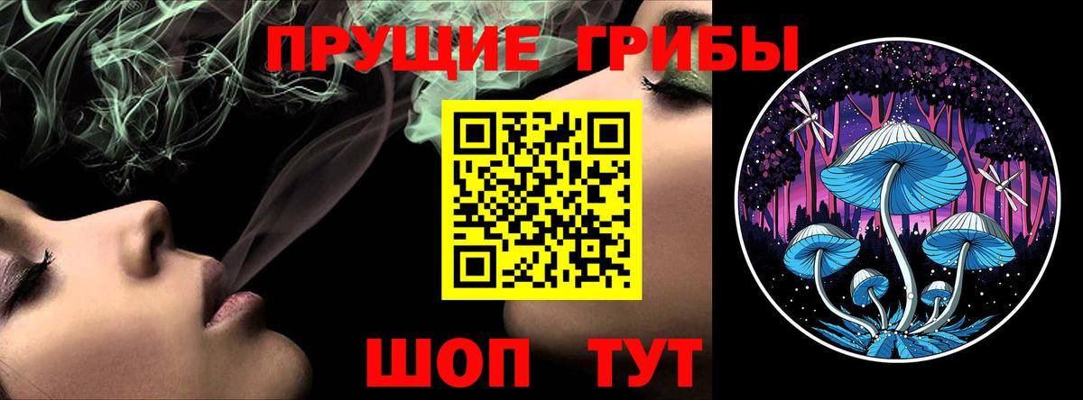 Галлюциногенные грибы MAGIC MUSHROOMS  продажа наркотиков  Сибай  Вход с VPN 